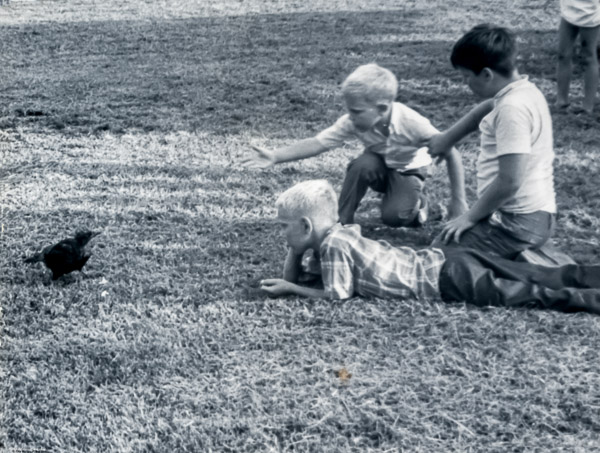 c. Summer 1969 - Ballwin, MO