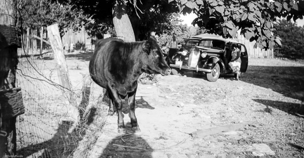 c. 1935 - Beaufort, MO