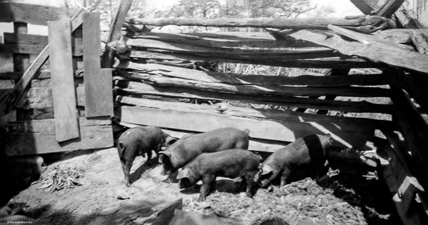 c. 1935 - Beaufort, MO